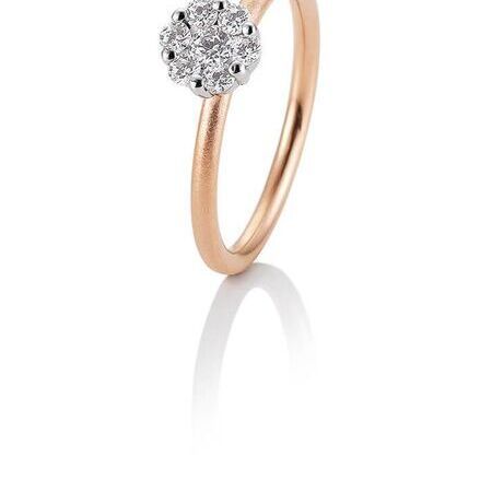 Ringe von Phoenix auf weißem Hintergrund